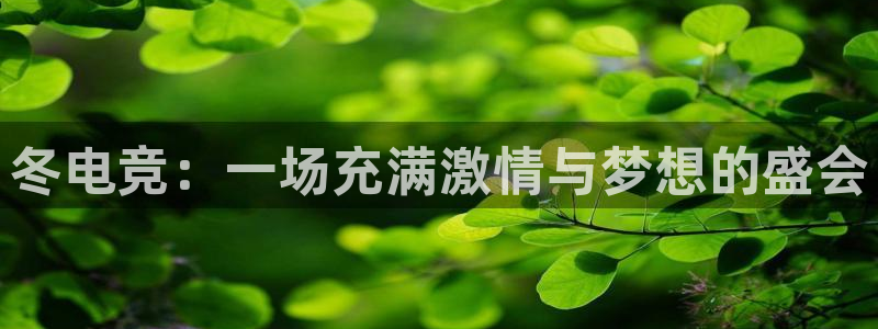 ob电竞网站：冬电竞：一场充满激情与梦想的盛会