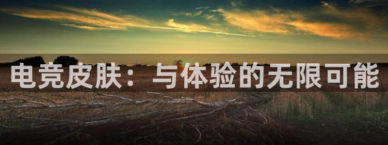 ob电竞网站：电竞皮肤：与体验的无限可能