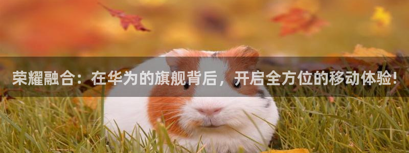 ob电竞官网入口：荣耀融合：在华为的旗舰背后，开启全方位的移动体验!
