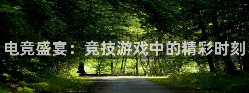 ob电竞官网入口：电竞盛宴：竞技游戏中的精彩时刻
