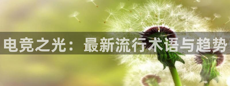 ob电竞俱乐部：电竞之光：最新流行术语与趋势