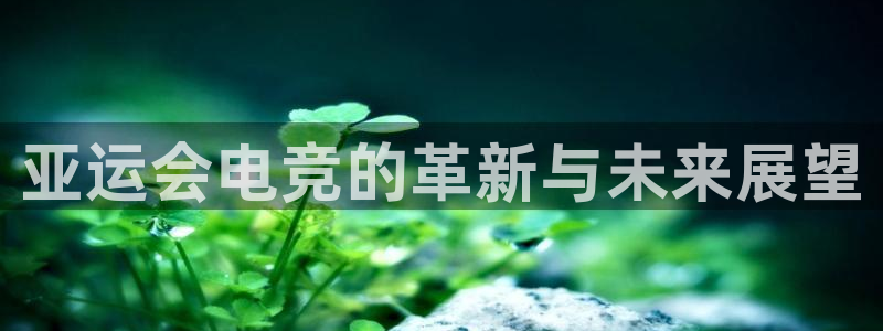 ob电竞平台：亚运会电竞的革新与未来展望