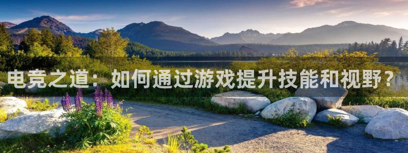 ob电竞官网入口：电竞之道：如何通过游戏提升技能和视野？