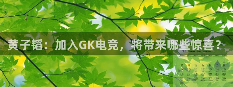 ob电竞官网入口：黄子韬：加入GK电竞，将带来哪些惊喜？