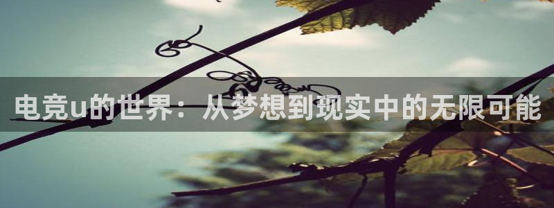 ob电竞俱乐部：电竞u的世界：从梦想到现实中的无限可能